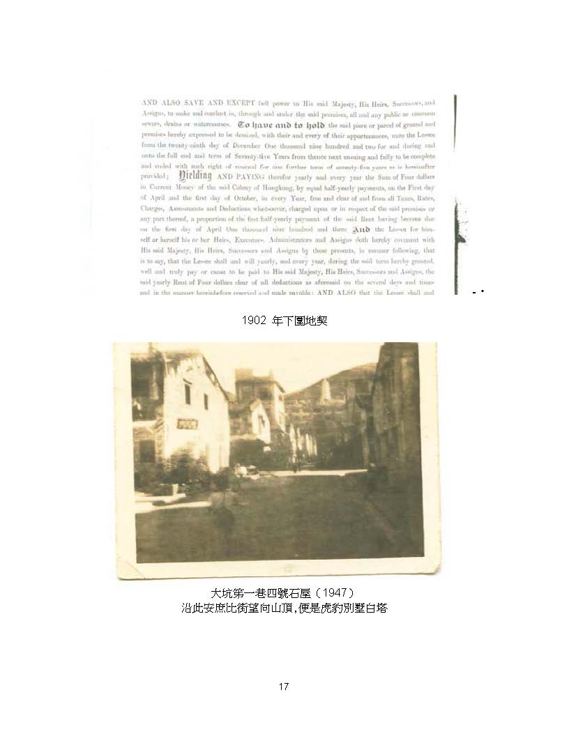 大坑掌故夜龍 page 17